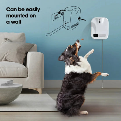 Treat Cam Wi-Fi Enabled Interactive Dog Toy