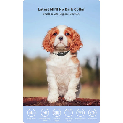 Rechargeable Mini Anti-Bark Collar with LCD Screen