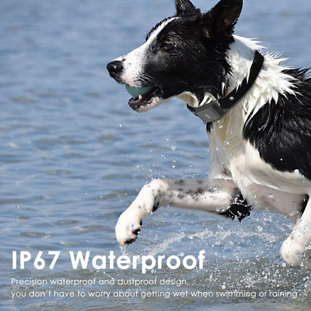 Smart GPS Pet Tracker Collar